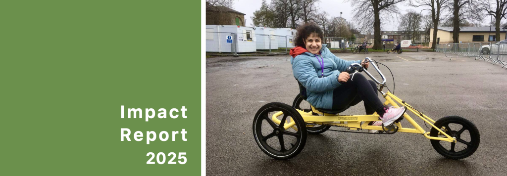 impact report 2025
